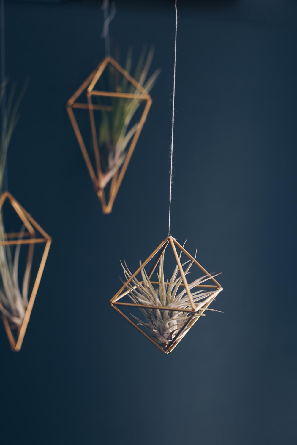 Eisen Laternenständer Hängend - Dekorativer Halter Für Terrarien & Luftpflanzen